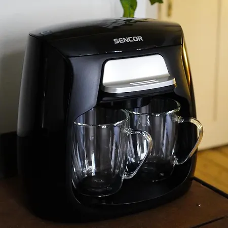 Retro & Romantic 2br Gem In Center! * Karlovy Vary